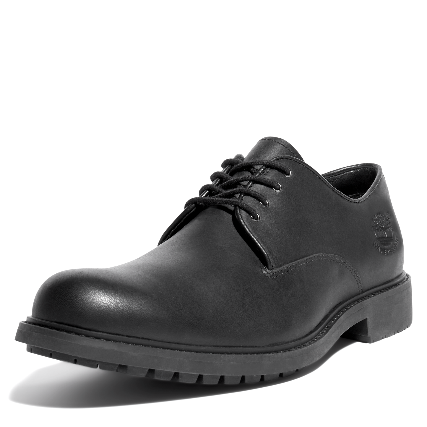 Men’s Stormbucks Waterproof Shoe (Black)